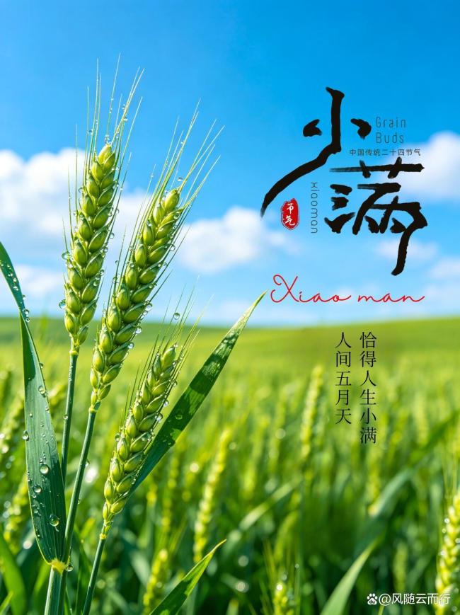 小满节气里的烟火诗意 恰到好处的美好