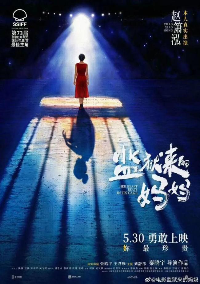 監(jiān)獄來的媽媽報審等違規(guī)停止上映 湯家鳳六問質(zhì)疑引發(fā)熱議
