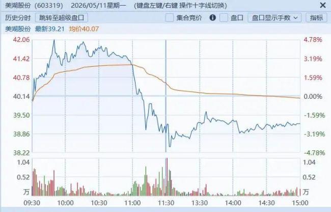 美湖股份一篇“小作文”致股价跌24% 具身智能争议引发市场波动