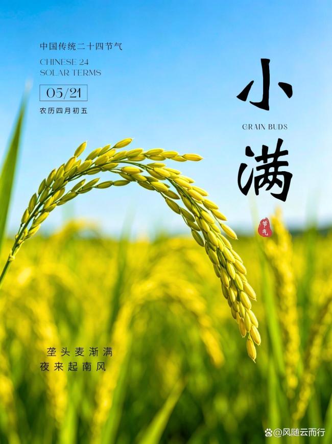 小满节气里的烟火诗意 恰到好处的美好