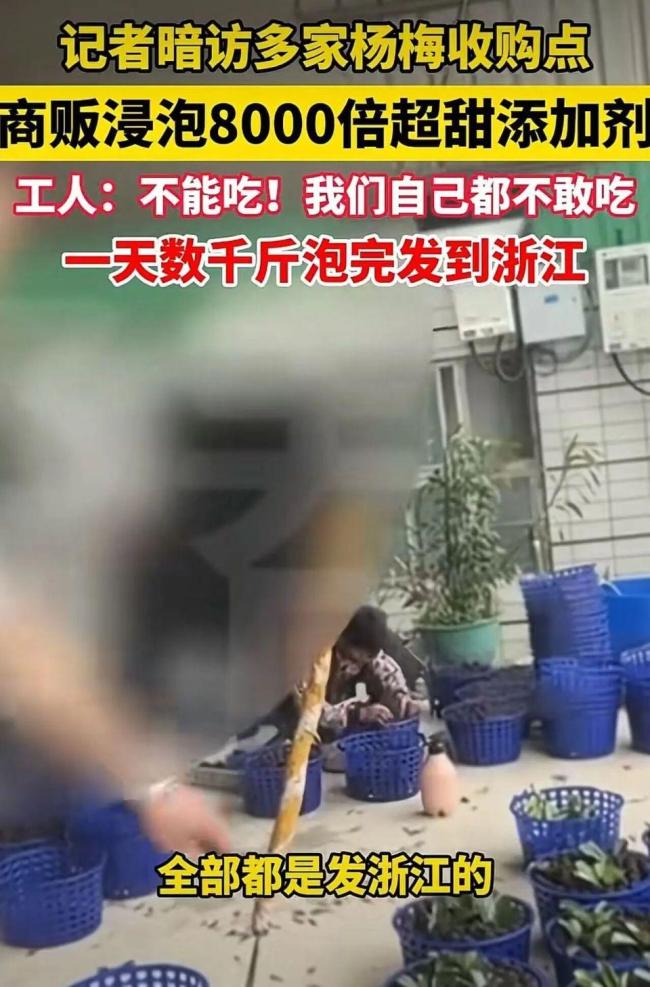 漳州泡藥楊梅事件5人被刑拘 商戶明知有毒仍銷售