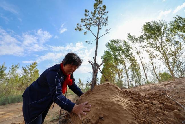 中国治沙人跨越27年找到美国资助者 5000美元种下5万棵树