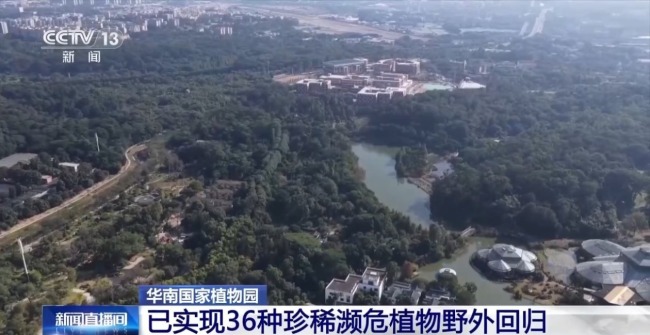 80%国家重点保护野生植物得到有效保护 怎么做到的