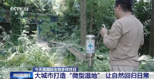 80%国家重点保护野生植物得到有效保护 怎么做到的