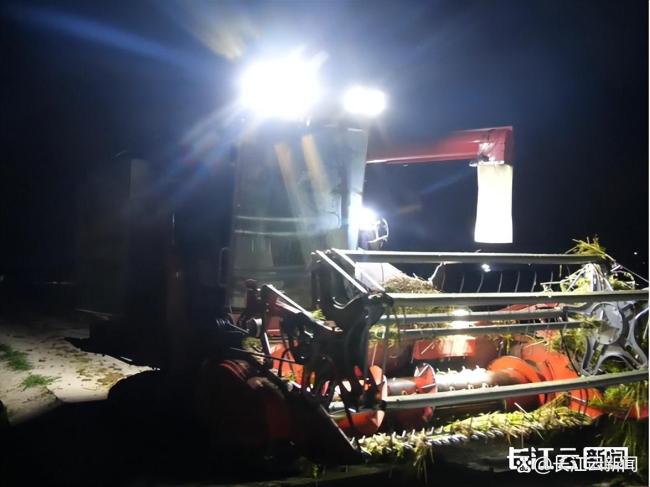 湖北南漳调集近3000台农机抢收小麦 昼夜奋战保丰收