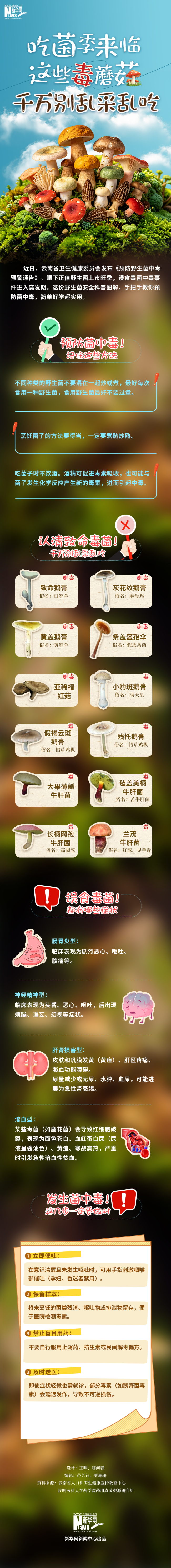 这些毒蘑菇千万别乱采乱吃
