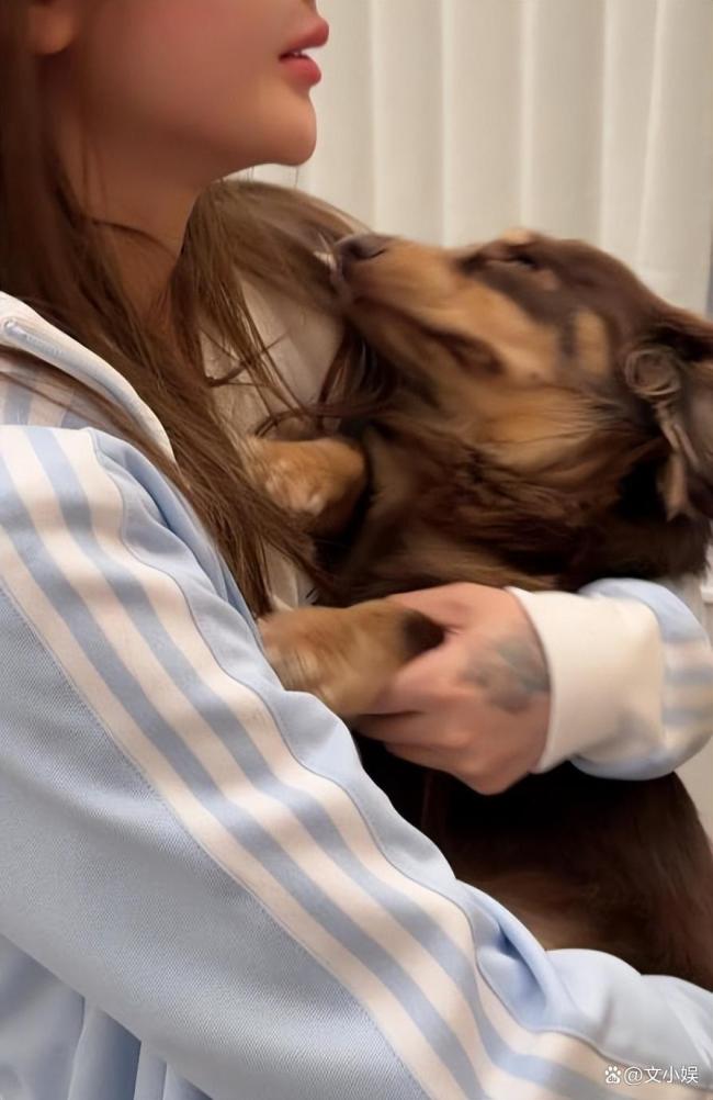 网红高迪回应爱犬在车库被碾死 双方均有责任