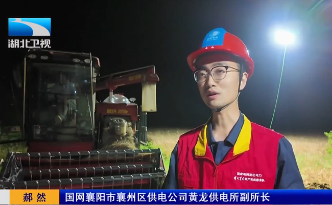 湖北荆州抢收小麦 烘干厂开足马力 争分夺秒雨口夺粮
