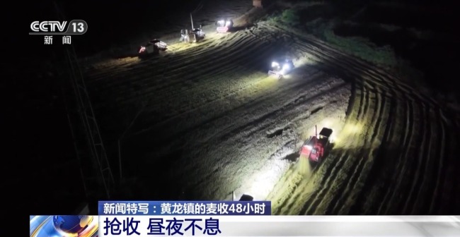 昼夜不息 直击黄龙镇小麦抢收48小时