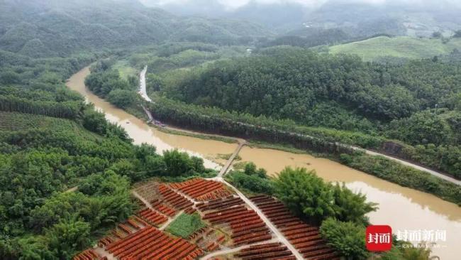 實(shí)探廣西皮卡車(chē)墜河事故事發(fā)漫水橋 10人遇難背后的隱憂(yōu)