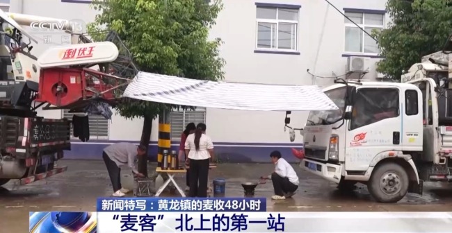 昼夜不息 直击黄龙镇小麦抢收48小时