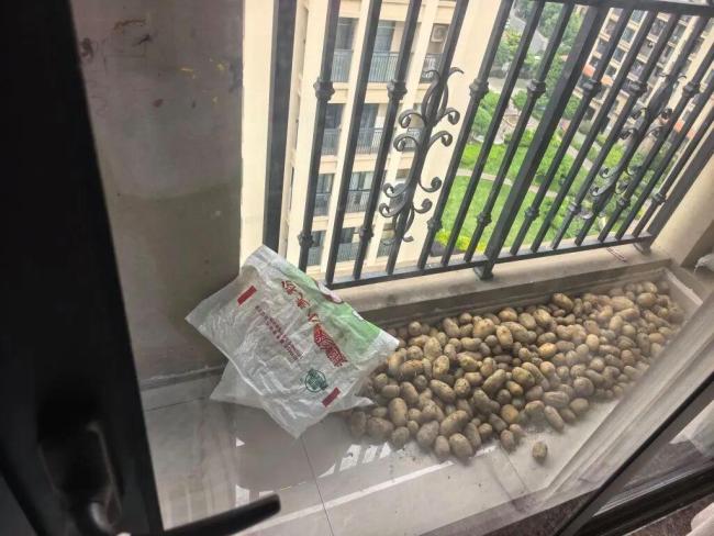 近百斤土豆被盗警方抓获两人 莫伸手伸手必被捉
