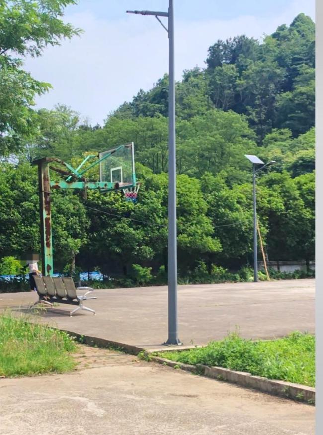 官方通報(bào)女童被馬拖行2公里致死 家屬深陷悲痛