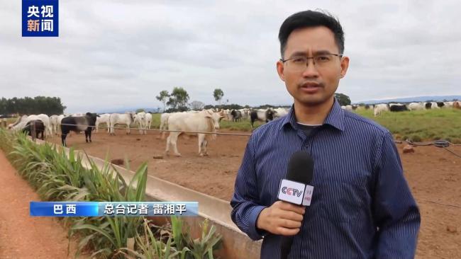 中东战事冲击巴西牛肉业