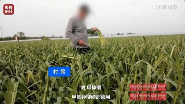 高毒農(nóng)藥流入農(nóng)田 隱蔽售賣引發(fā)關(guān)注