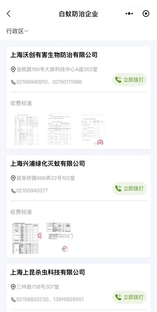 上海白蚁高发季来袭 家中边缘现“土丘”