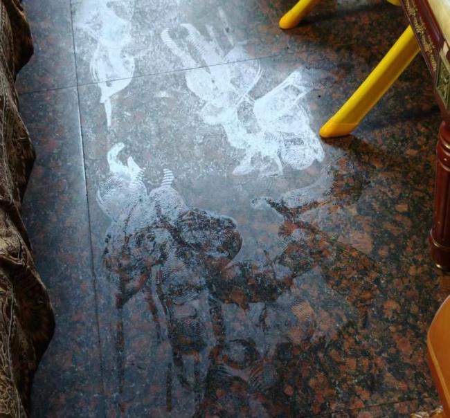 浙江人潮濕得要長鰓了:濕熱超亞馬孫雨林