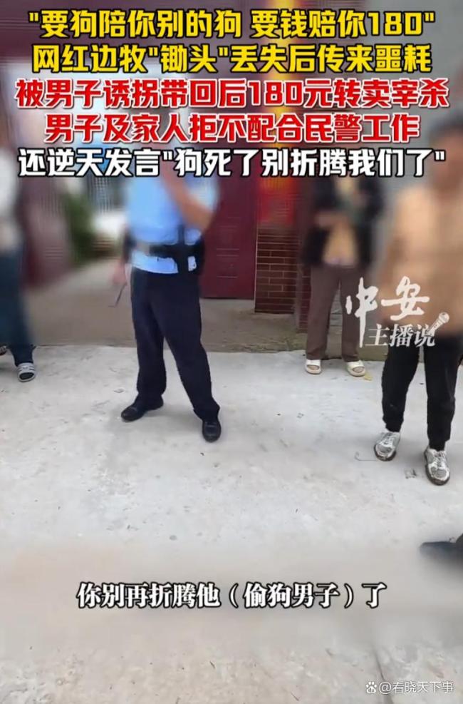 男子拐走网红边牧180元转卖宰杀 偷狗事件引发热议