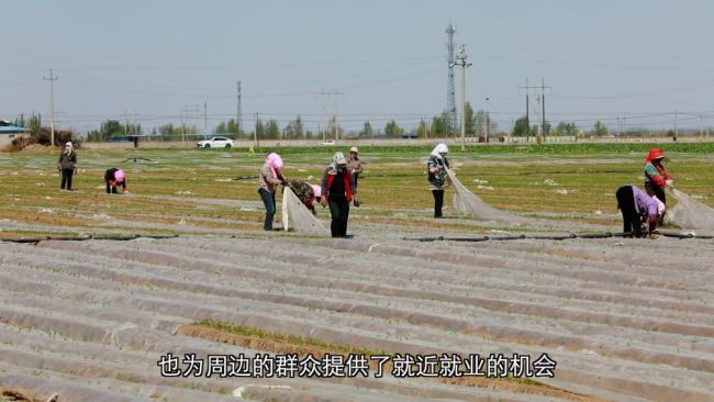 深耕特色富民產業(yè) 激活鄉(xiāng)村振興發(fā)展新動能