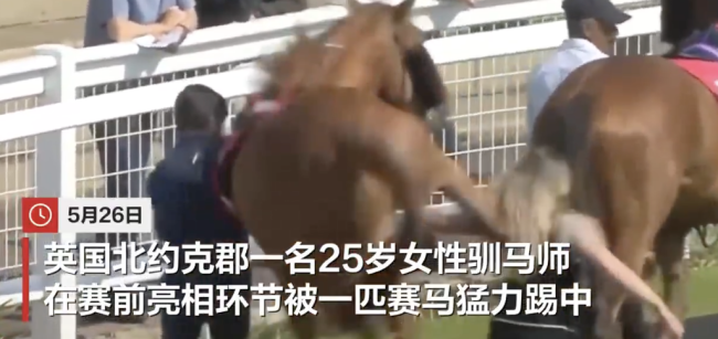 英国女驯马师靠近赛马被一脚踢飞 突发状况引发关注