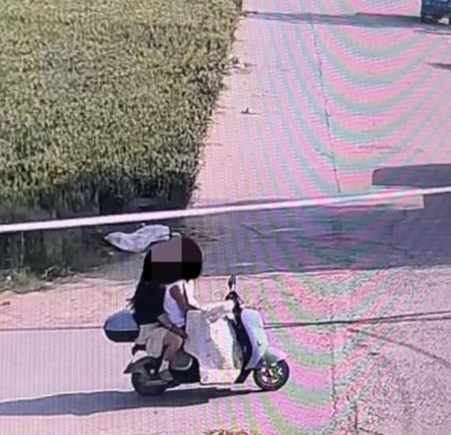 網(wǎng)紅邊牧疑被人偷走宰殺 主人發(fā)聲 堅決追責到底
