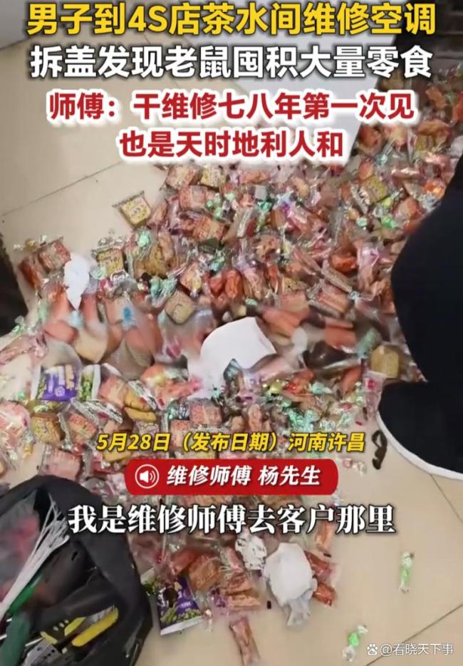 男子发现空调被老鼠囤满零食
