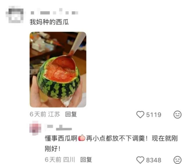 我为什么喜欢种菜了？治愈焦虑的良方