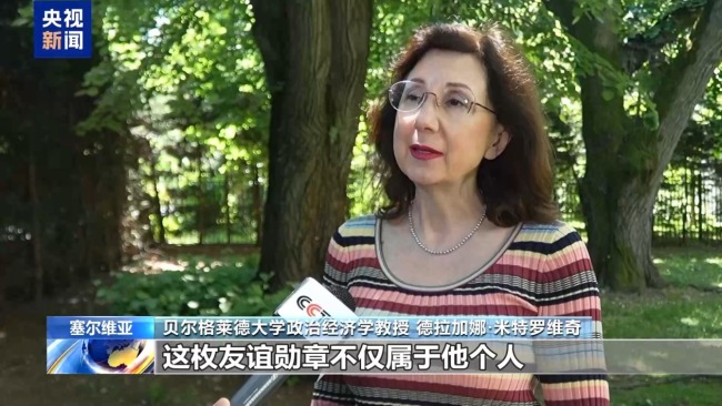 塞尔维亚专家：期待塞中各领域合作迈向新高度