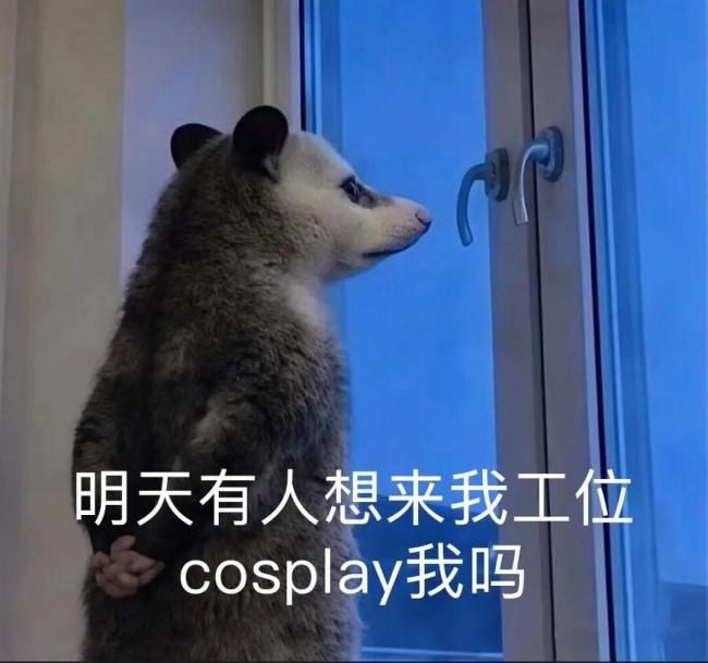 2026年最火表情包出現(xiàn)了 負(fù)鼠入侵打工人群聊