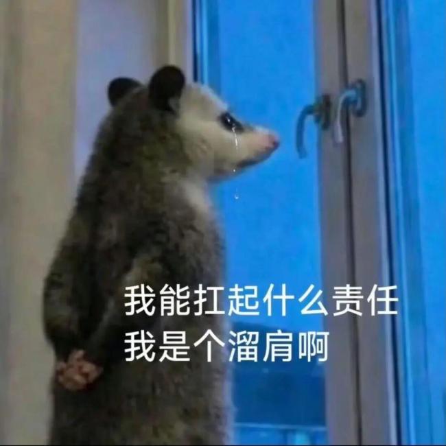 2026年最火表情包出現(xiàn)了 負鼠入侵打工人群聊