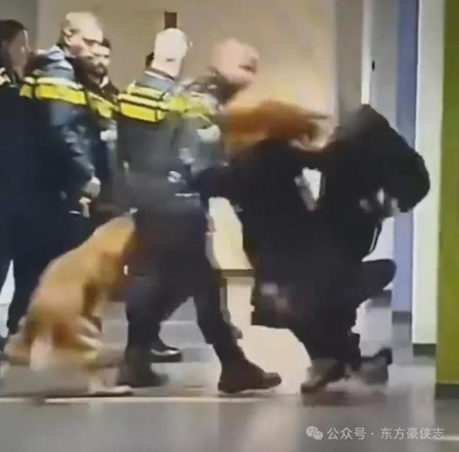 荷兰女子被警察拖拽丈夫还击被打 执法争议引发热议
