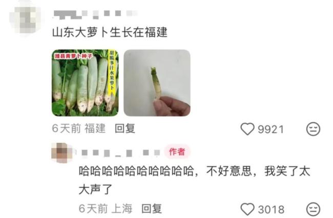 本人于5月種出了番茄 望周知：都市種地實(shí)錄引發(fā)熱議