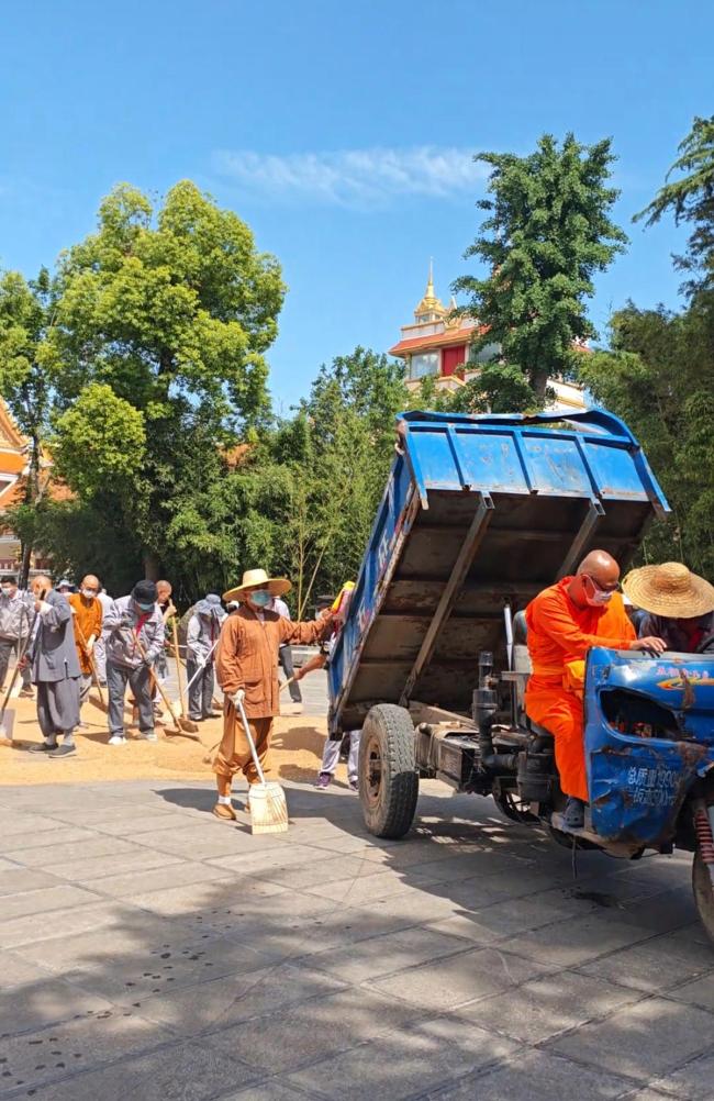 白马寺僧人顶着33℃气温收麦子晾晒