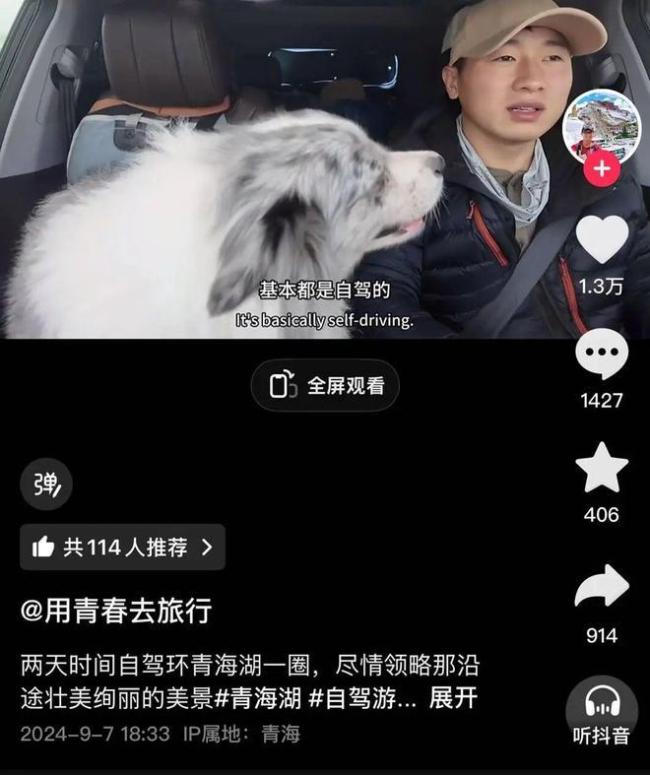 百万粉网红边牧被偷宰杀后续！小偷慌到拦车求和，主人当场气哭 9年情感难以估量