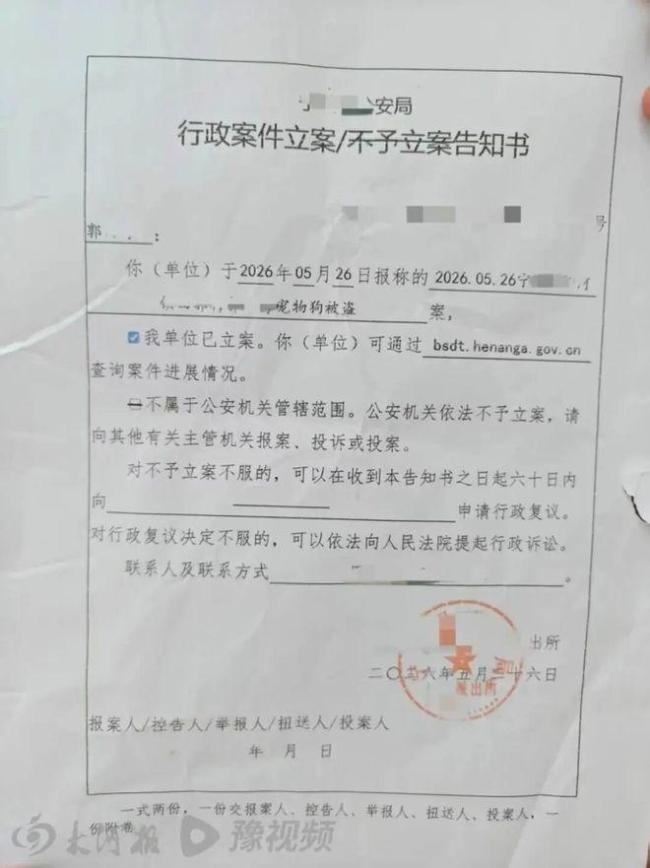 百萬粉網紅邊牧被偷宰殺后續(xù)！小偷慌到攔車求和，主人當場氣哭 9年情感難以估量