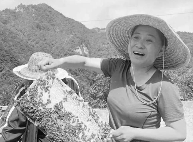 董亦军尹春燕贺娇龙等拟获表彰 英雄事迹感人至深