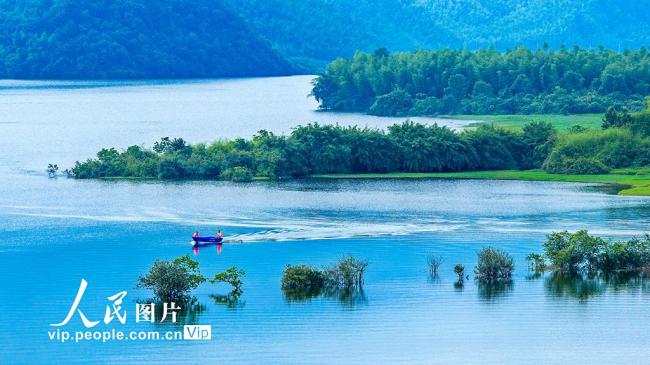江西樟樹：守護(hù)一泓碧水