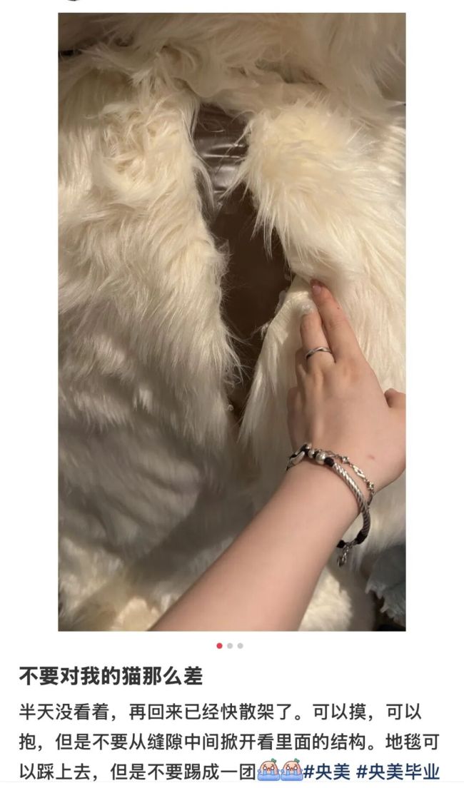 央美毕业展多件作品被毁 文明观展亟待加强