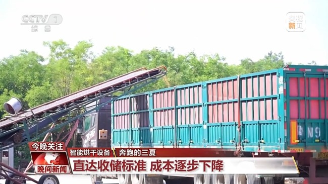 全國小麥收獲進度已過三成半 各地智慧農機顯身手