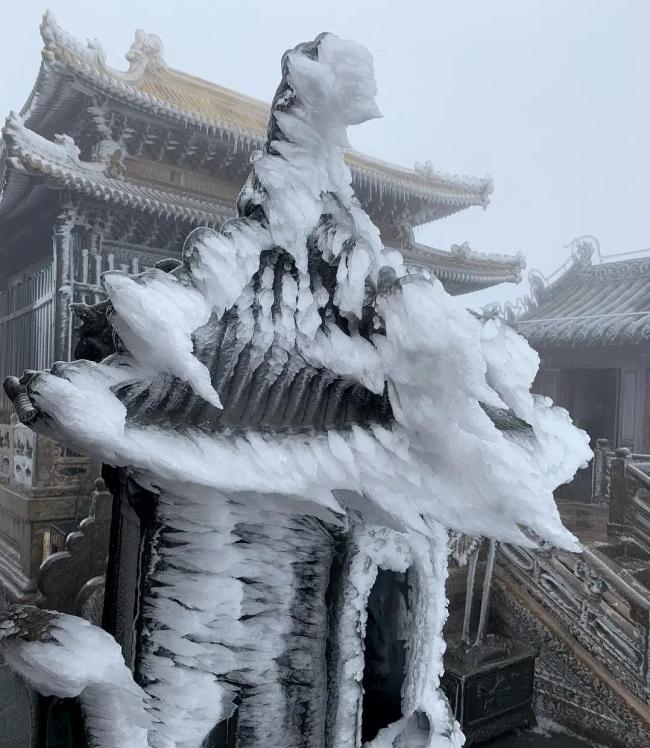 不想上班？辭職上山的年輕人最后還是下山了 修行不易