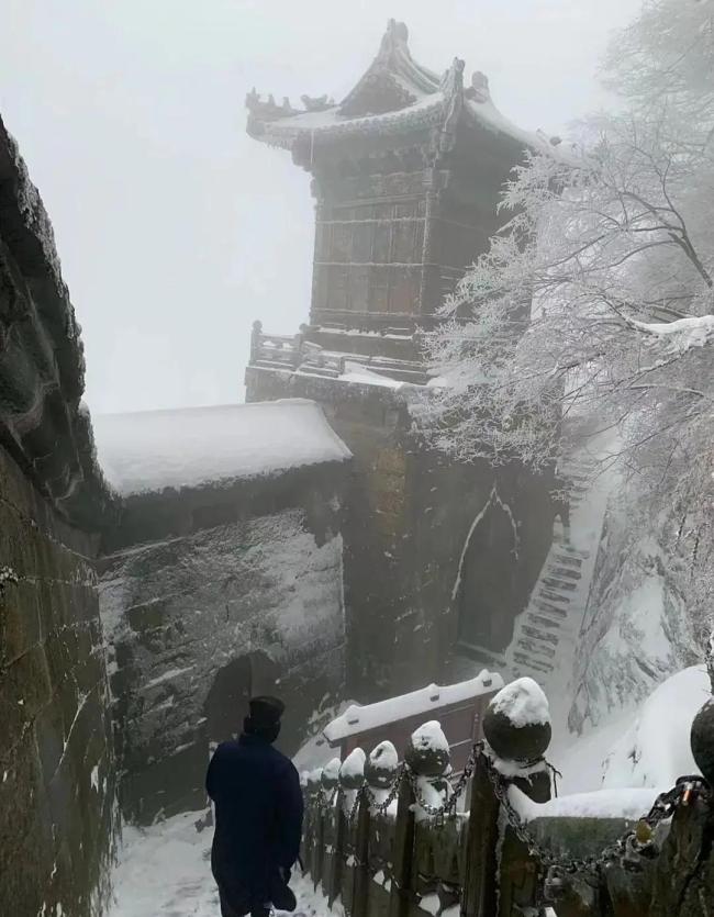 辭職上山的年輕人最后還是下山了 尋找生活的真諦