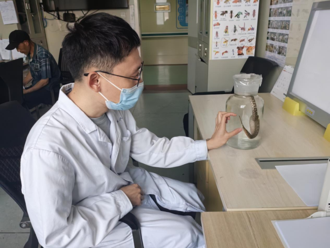 河南已进入蛇咬伤高发期