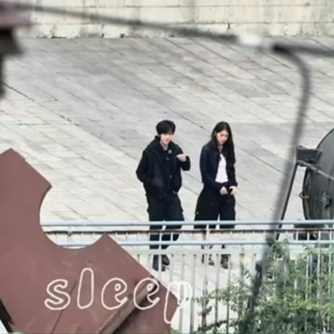 贺峻霖桃花坞成立MCN公司