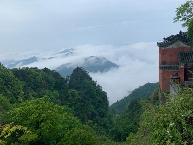 不想上班？辭職上山的年輕人最后還是下山了 修行不易