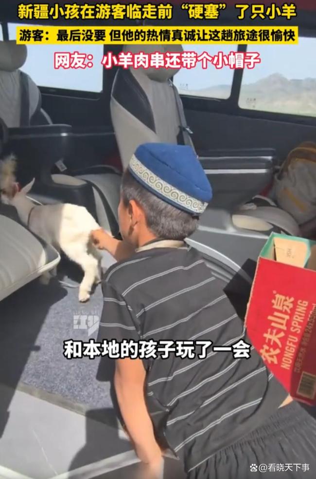 新疆小孩在游客临走前硬塞小羊 纯真心意感动网友