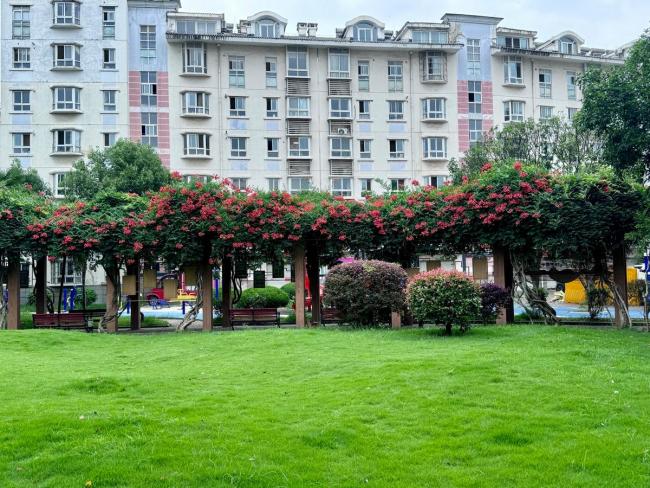 武汉一小区物业费24年未涨价 低价高质造就宜居典范