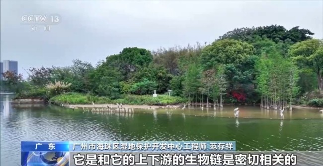 科技如何賦能美麗中國(guó)建設(shè) 多場(chǎng)景解鎖