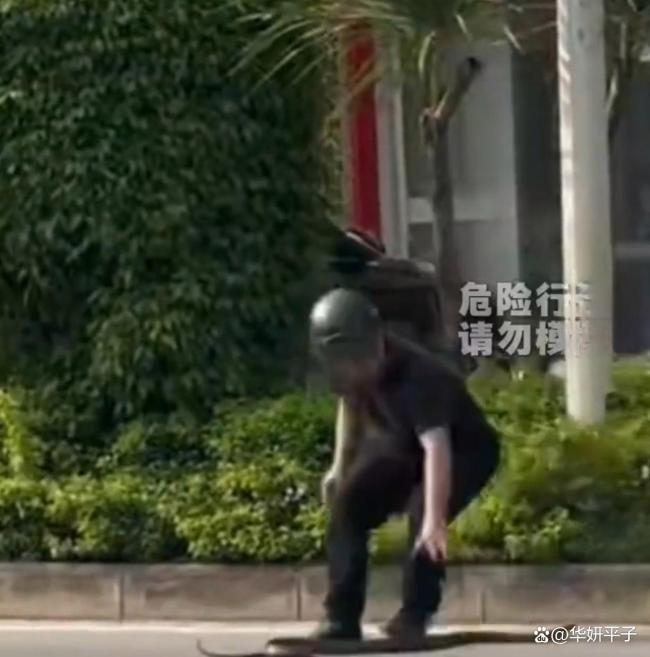 男子“徒手”抓蛇操作云淡風(fēng)輕