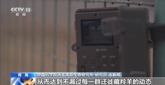 科技如何賦能美麗中國建設(shè) 多場景解鎖