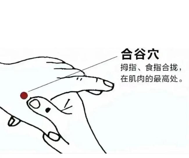 考場上緊張試試按這3個穴位 助你穩(wěn)定心態(tài)
